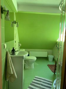 un bagno verde con un water e un lavandino di U Asi w Kotlinie Kłodzkiej - Widoki, Bania i Wiejskie Smaki a Bozkow