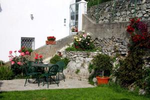 A garden outside Villa Antica Macina