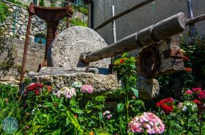 A garden outside Villa Antica Macina