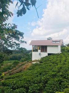 a house on top of a tea plantation at Mountain Villa in Suriyakanda