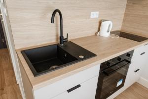 Kuchyň nebo kuchyňský kout v ubytování Zakrzówek Residence + 26 fotografií