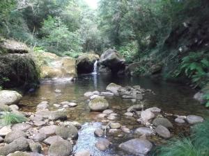 a stream with rocks and a waterfall in a forest at Tienda de Campaña en Ecoaldea Vegana Espiral en Plena naturaleza con comida y cena incluida in Passos