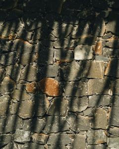 Φωτογραφία από το άλμπουμ του Mateves Boutique Lodge σε Arusha