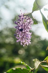 Φωτογραφία από το άλμπουμ του Mateves Boutique Lodge σε Arusha