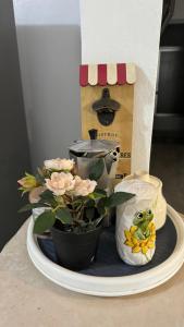 Fotografie z fotogalerie ubytování CENTRICO con wifi, cocina con gas y luz incluido la romana v destinaci La Romana + 1 fotografie