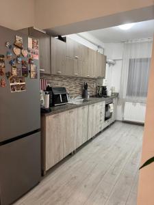 Η κουζίνα ή μικρή κουζίνα στο Apartament Andreea pe Dem Radulescu!