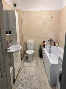 Ένα μπάνιο στο Apartament Andreea pe Dem Radulescu!