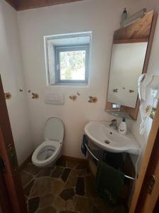 a bathroom with a toilet and a sink and a mirror at Villetta in Cadore in Borca di Cadore