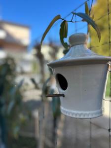 un alimentador de aves con una planta dentro en Le case di Torto, en Parma