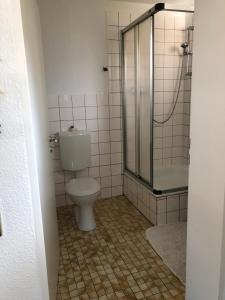 a bathroom with a toilet and a shower at Ferienwohnung Klippenblick in Holzhausen +6 photos