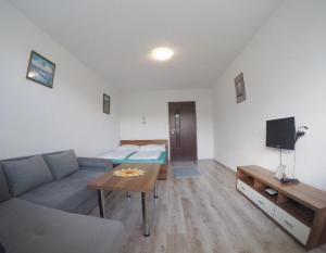 A television and/or entertainment centre at Apartment Igor