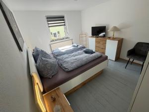 TV a/nebo společenská místnost v ubytování Familien-Ferienhaus am Felsenlabyrinth