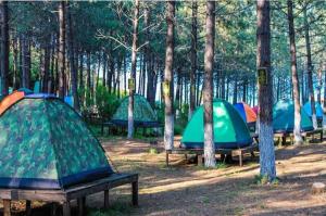 Gallery image of Karavan kiralama&konaklama in Ankara