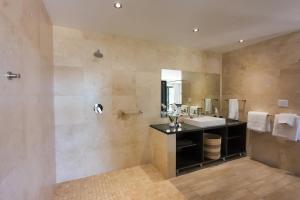 雷因恩道尔denBosch Cottages的带水槽和淋浴的大浴室