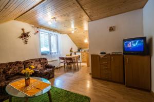 a living room with a couch and a tv at Apartmán Milka in Demanovska Dolina
