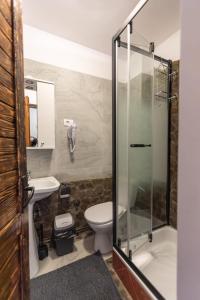 a bathroom with a shower and a toilet and a sink at Casa Valasoaia in Săcele +61 photos