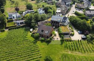 LemiersDomein Holset BruisendWijnHuis的葡萄园里一栋房子的鸟瞰图