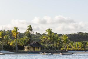 a house on the shore of a beach with palm trees at Chalés Casulo Caraíva in Caraíva