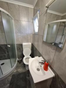 a bathroom with a sink and a toilet and a mirror at Morena in Pula
