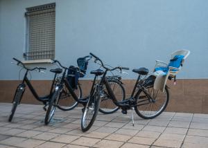 Jízda na kole v ubytování Hotel Aldebaran nebo okolí