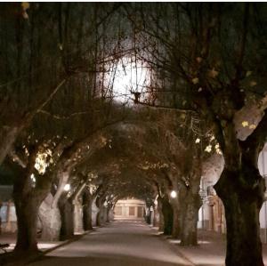 Fotografia z galérie ubytovania Patio de las Flores v destinácii Riópar
