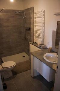 a bathroom with a toilet and a shower and a sink at Les gîtes de la perle de Vouglans Le lynx D in Cernon