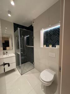 a bathroom with a shower and a toilet and a sink at LaMira 2,3 Apartments in Hajdúszoboszló +45 photos
