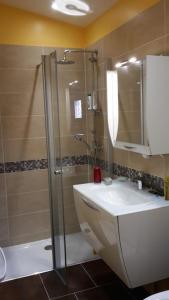 a bathroom with a shower and a sink and a toilet at La vue sur mer in La Croix-Valmer