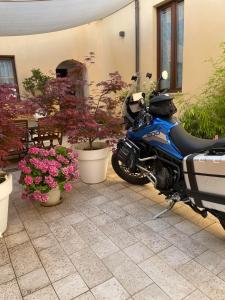 Una motocicleta azul estacionada junto a plantas con macetas en La Pulchella, en LʼAquila