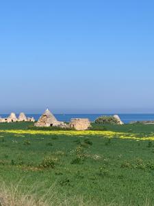 Příroda nedaleko penzionu