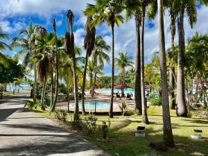 une plage avec des palmiers et une piscine dans l'établissement Ti Kaz Coco Passion Vue Mer, à Sainte-Anne