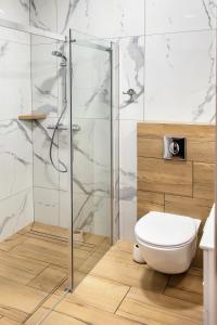 Un baño con inodoro y ducha de cristal. en Domki Gold-Time Niechorze, en Niechorze 110 fotos más