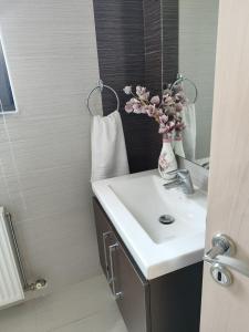 a bathroom with a sink and a vase with flowers in it at Villa Anastasia Sissy in Módhion