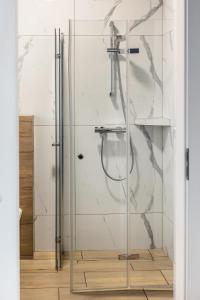 una ducha con puerta de cristal en un baño en Domki Gold-Time Niechorze, en Niechorze
