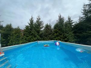 a blue swimming pool with a ball and a ball at Pietrele Doamnei in Pojorâta