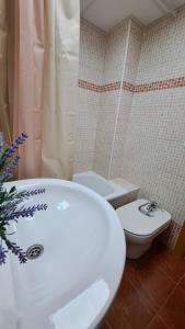 Ein Badezimmer in der Unterkunft Apartamentos Maria Cristina con parking gratis