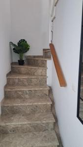 Galeriebild der Unterkunft Apartamentos Maria Cristina con parking gratis in Córdoba