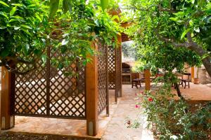 A garden outside Alba Marina B&B