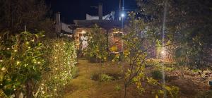 A garden outside BaSiLiKoS