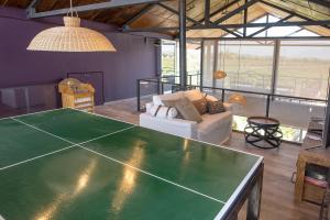un salon avec une table de ping-pong dans l'établissement Casa entre viñedo con vista a la Cordillera, à Las Compuertas