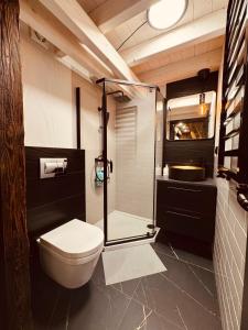 Un baño con inodoro, ducha y lavabo. en LOFT in the CITY CENTER by KOBIELA APARTMENTS, en Katowice 124 fotos más
