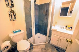 a bathroom with a shower and a toilet and a sink at Fawn Valley Inn- 106 condo in Estes Park