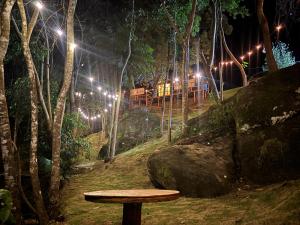 a wooden bench in the middle of a forest at night at Vibe Coffee Container CATUAÍ VERMELHO in Pedra Menina