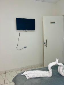 a room with a tv and a snake on the wall at Pousada Velho Brito in Piranhas