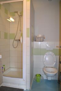 e bagno con servizi igienici e doccia. di Gîtes Du Stekala a Kaysersberg
