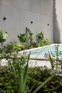 Top Rentals Palermo Soho外面的花园