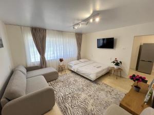 ein Wohnzimmer mit einer Couch und einem Bett in der Unterkunft Central Premium Apartment in Iaşi
