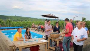 Hosté ubytování Csernus Doki bor-grillterasza és bungallói