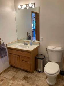 a bathroom with a toilet and a sink and a mirror at Sunny Vail Mountainside Getaway Amazing Location in Vail