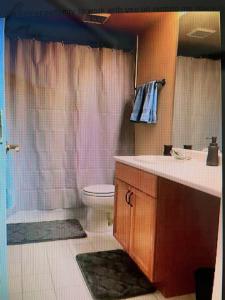 a bathroom with a sink and a toilet and a shower at Edwards Mountain Chic On River Pool and Hot Tubs in Edwards